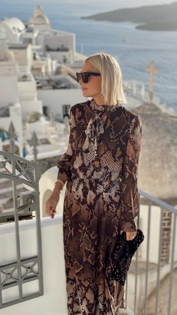 Cassandra Dress – Snake Print - Image 3